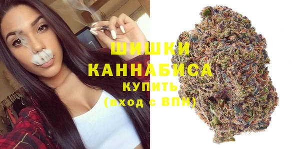 ГАЛЛЮЦИНОГЕННЫЕ ГРИБЫ Семёнов