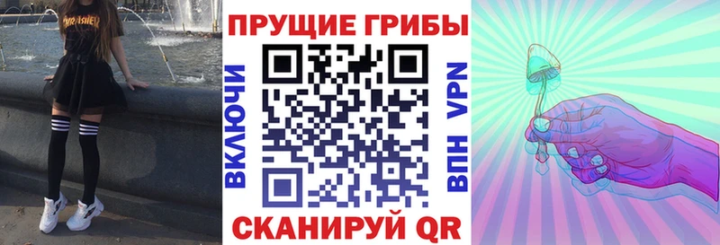 Псилоцибиновые грибы Magic Shrooms  Кузнецк 